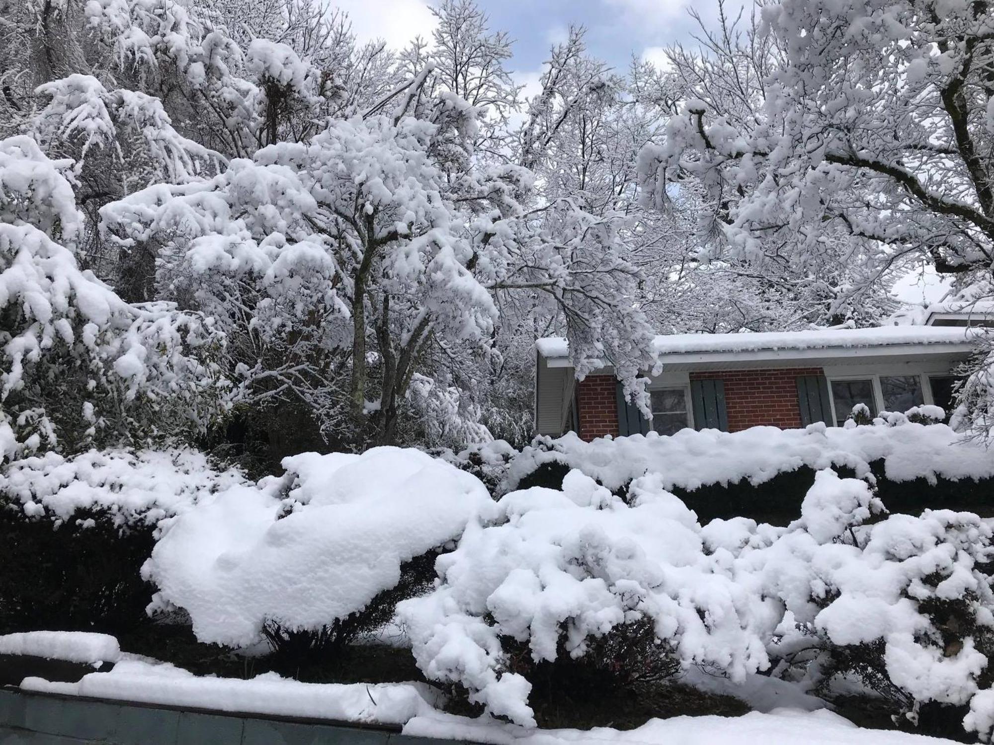 Mountain Aire Cottages & Inn Clayton Bagian luar foto